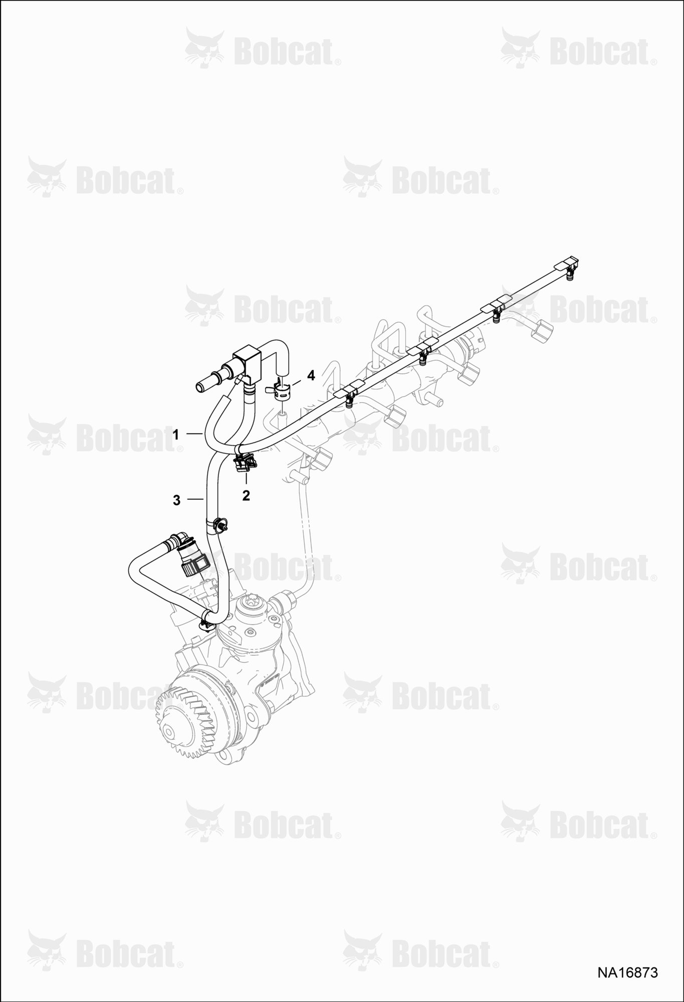 Fuel Line
