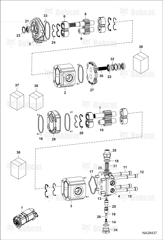 Pump Gear Dual