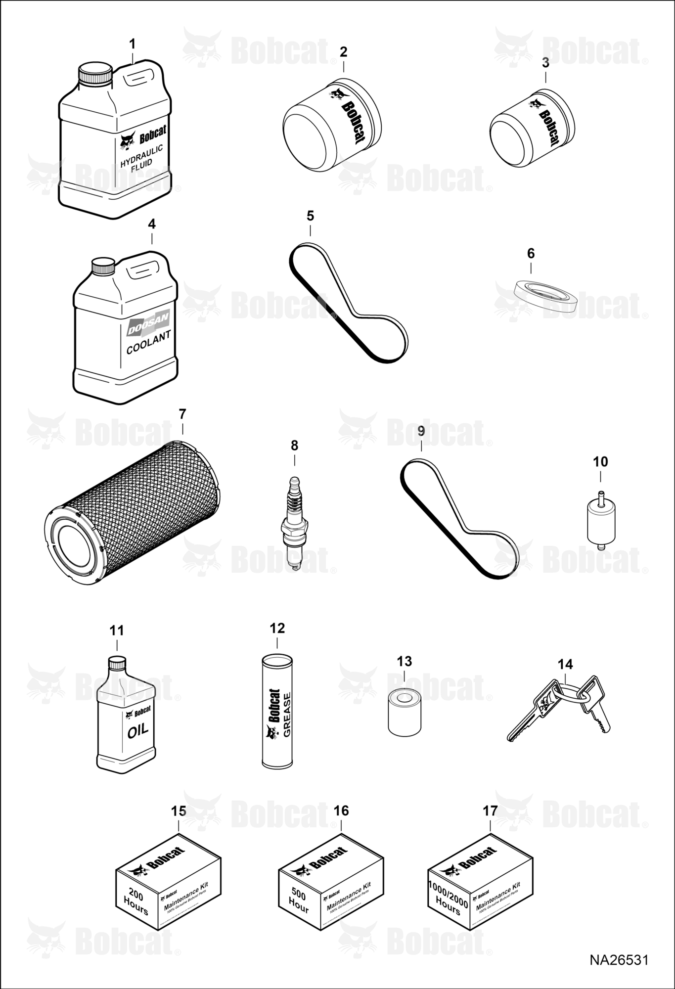Maintenance Items (Service Items)(Kubota Gas)