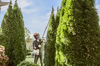 Thumbnail of STIHL KM 56 RC-E KombiSystem Action