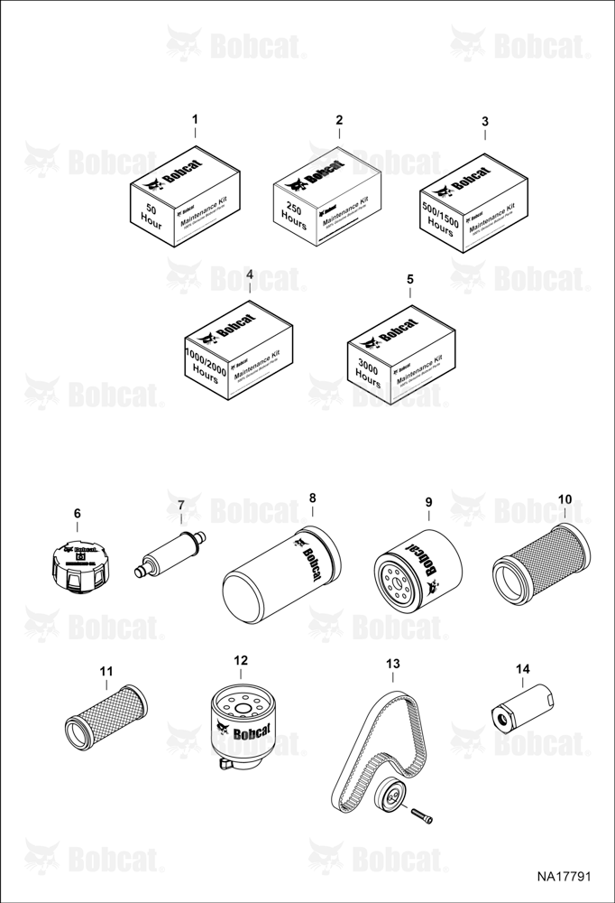 Maintenance Items (Scheduled Maintenance)