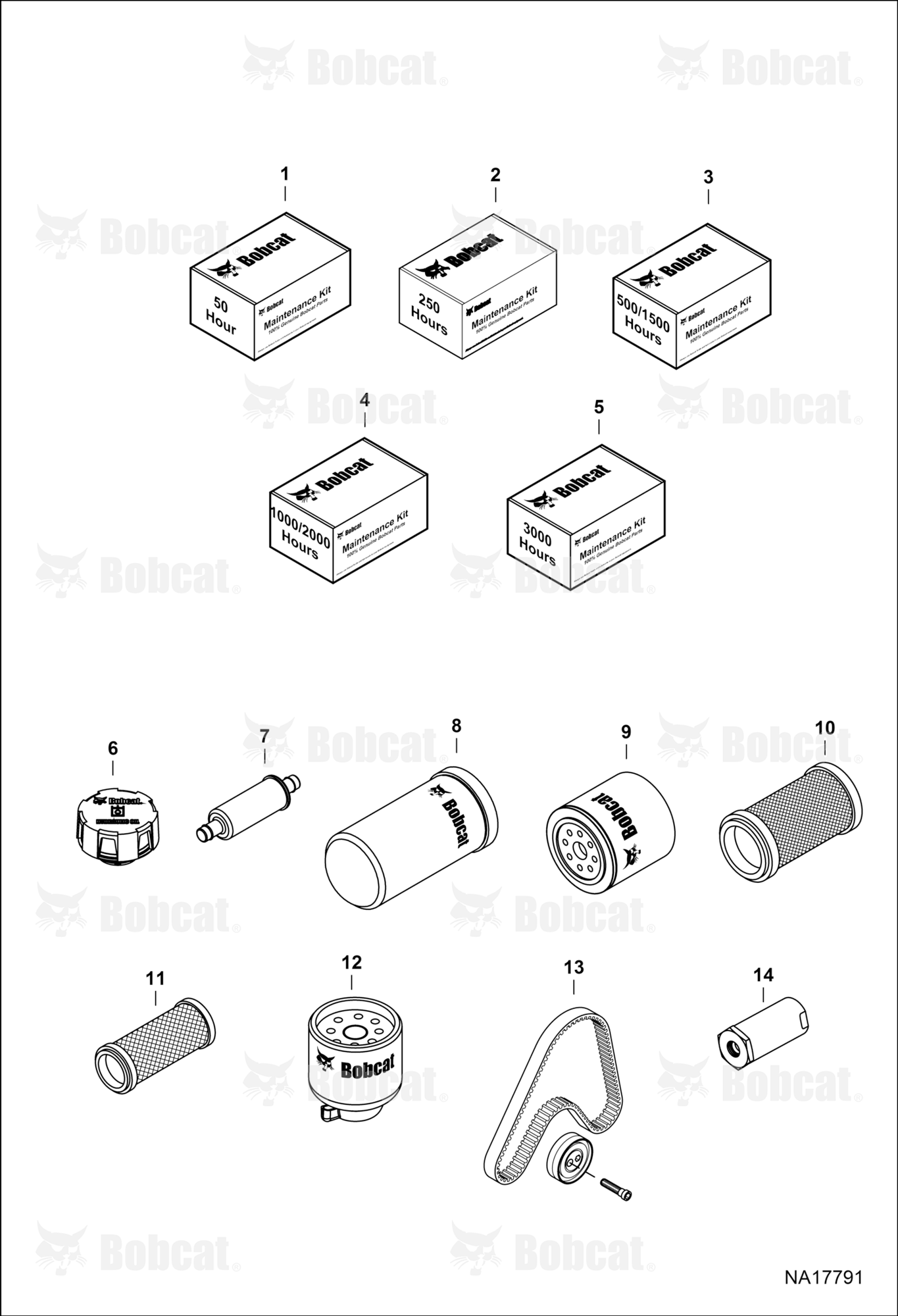 Maintenance Items (Scheduled Maintenance)