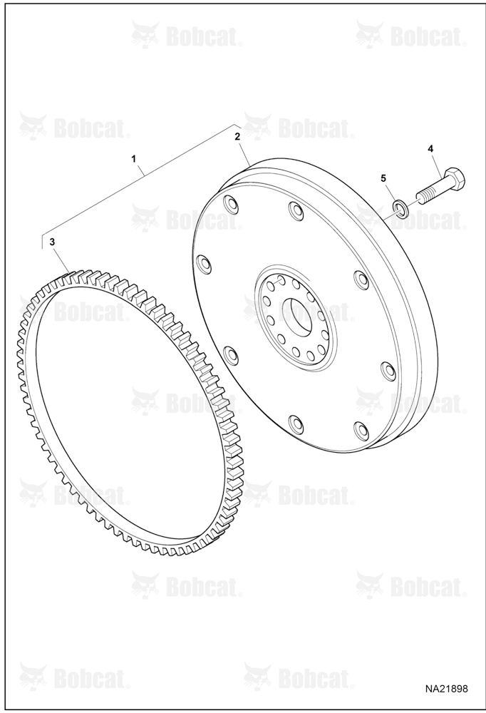 Flywheel & Starter Ring