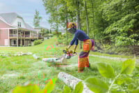 Thumbnail of STIHL MSA 160 CB Chainsaw Action