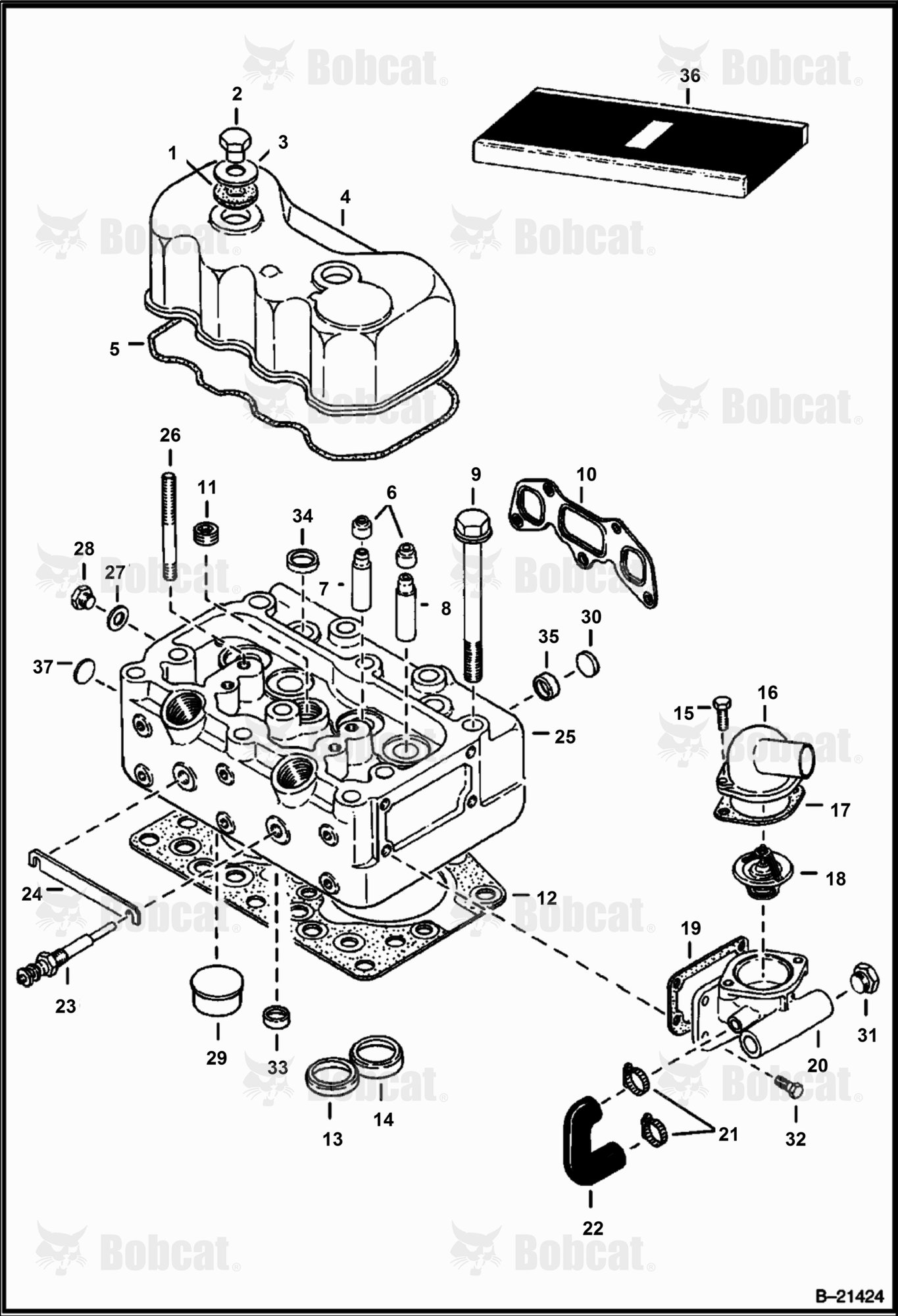 Cylinder Head