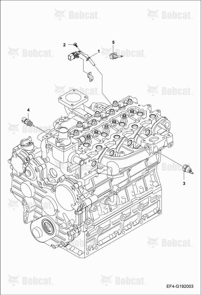 Engine Electrical Group (Sensor)