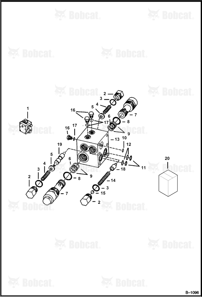 Motor Manifold Valve (22-3505ANGSBG)