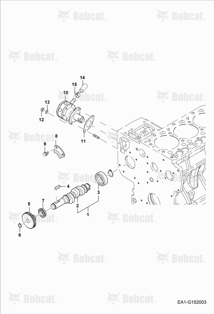 Fuel Camshaft Group