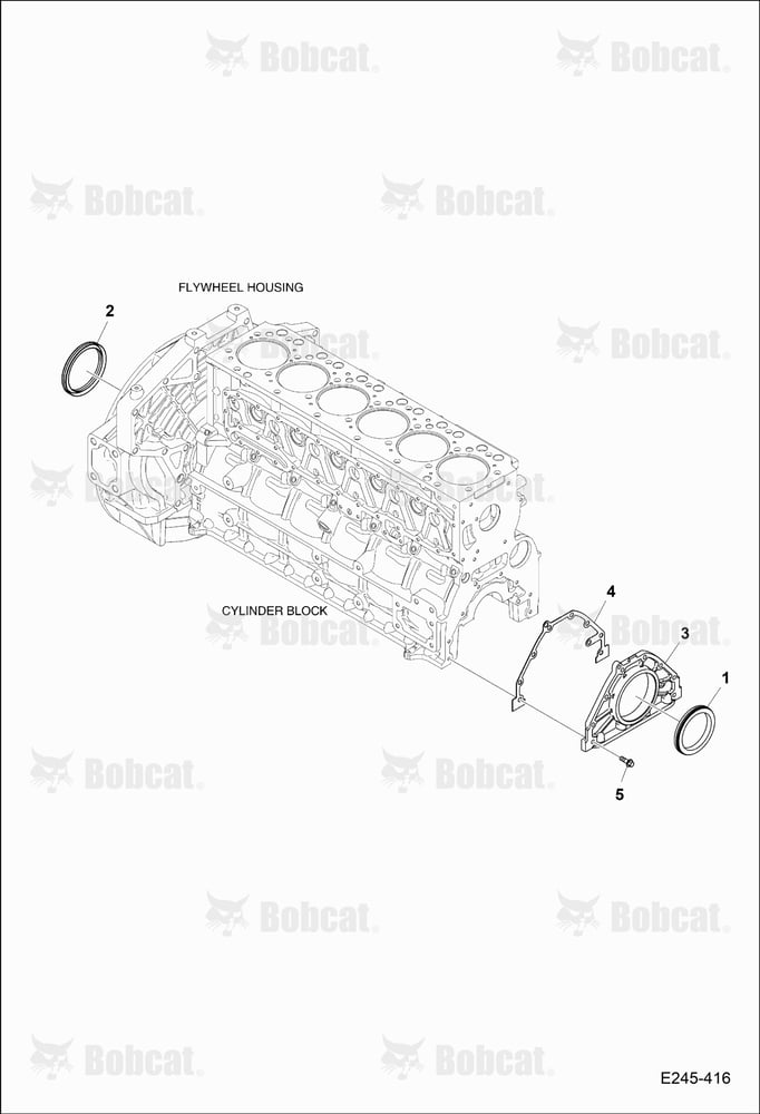 Oil Seal