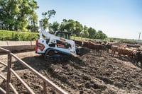 Thumbnail of Bobcat T770 With Bucket
