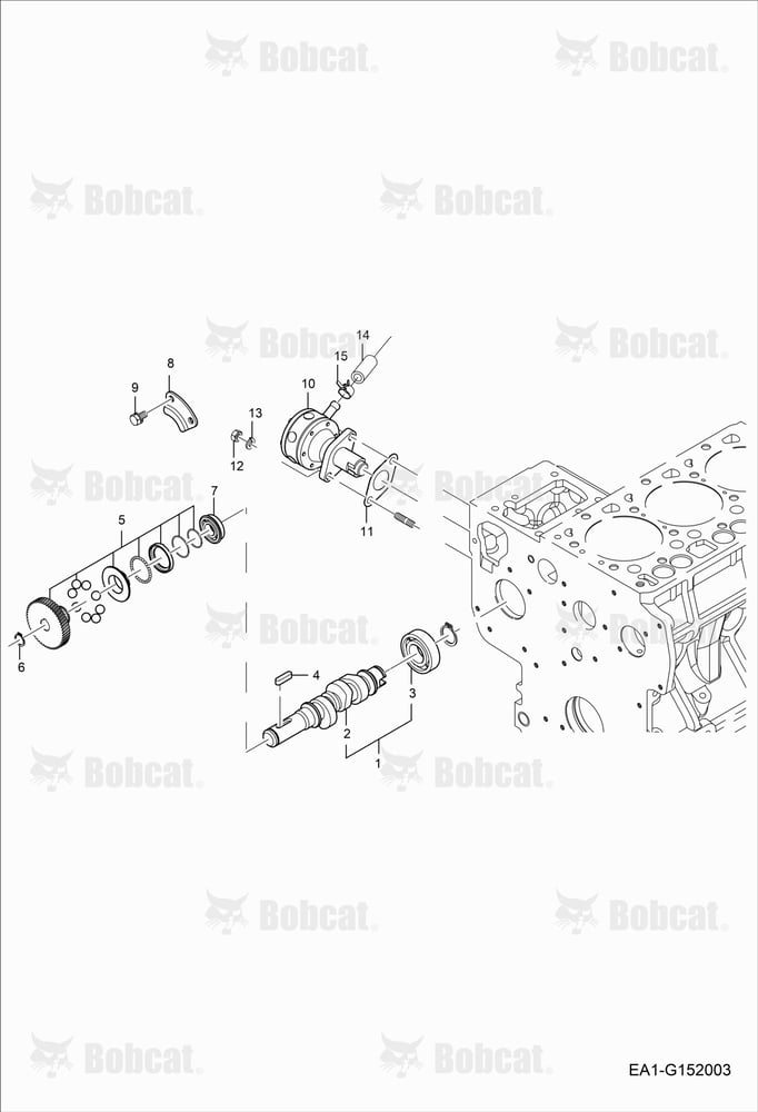 Fuel Camshaft Group