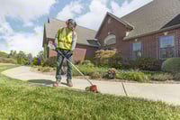 Thumbnail of STIHL FCA 135 Cordless Lawn Edger Action