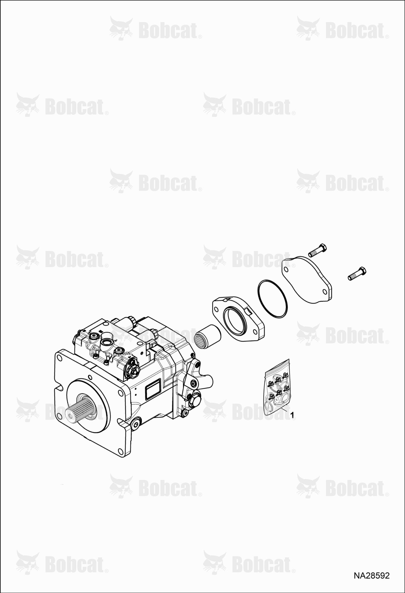 Hydrostatic Pump (Service Unit & Miscellaneous)