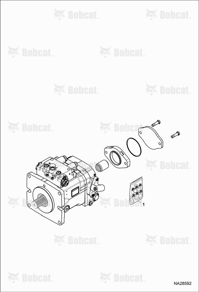 Hydrostatic Pump (Service Unit & Miscellaneous)