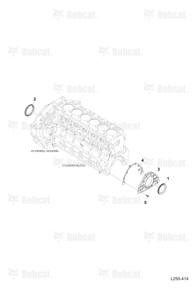 Oil Seal