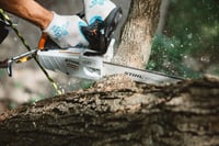 Thumbnail of STIHL MS 194 T Chainsaw Blade Action