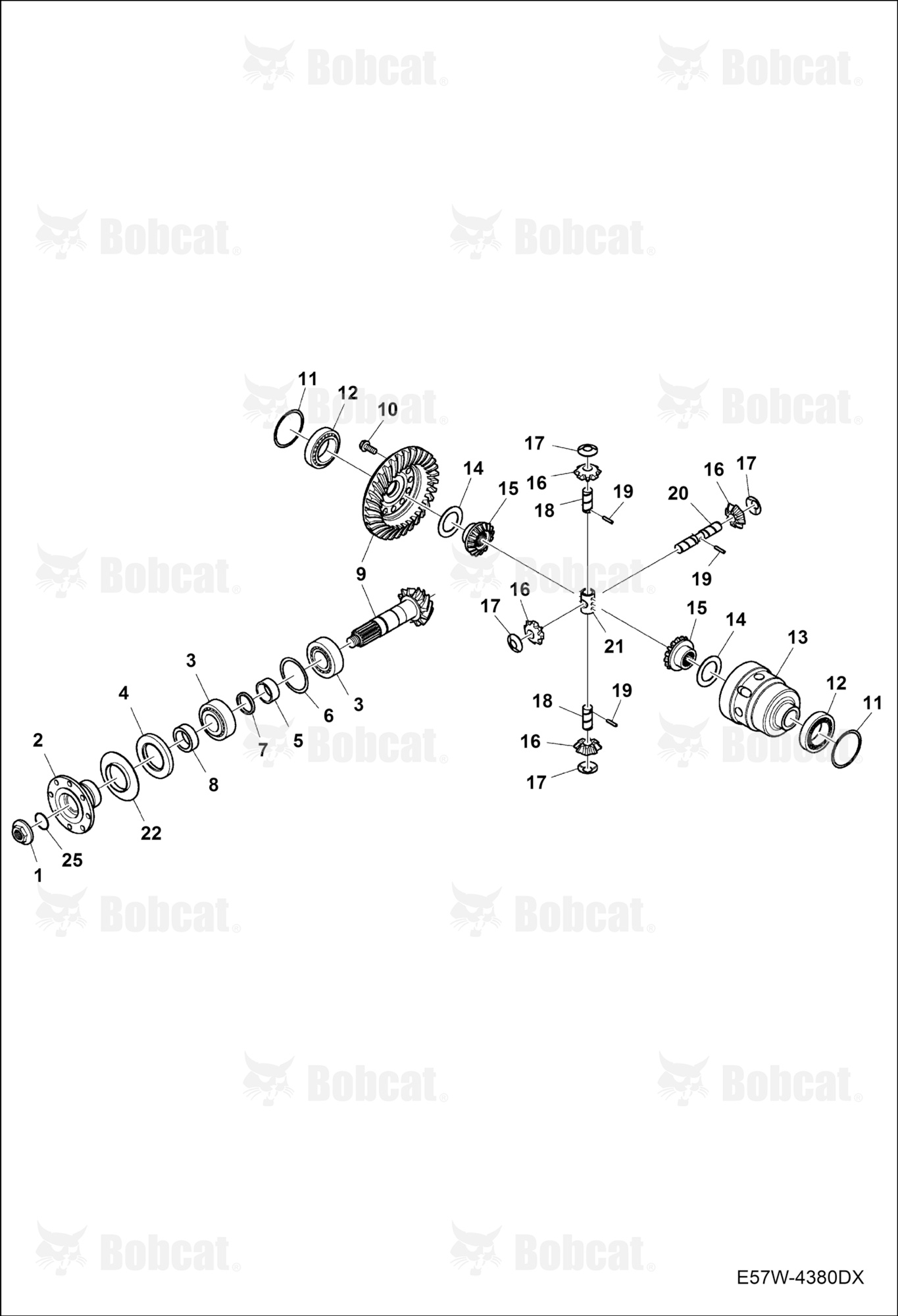 Differential (Rear Axle)