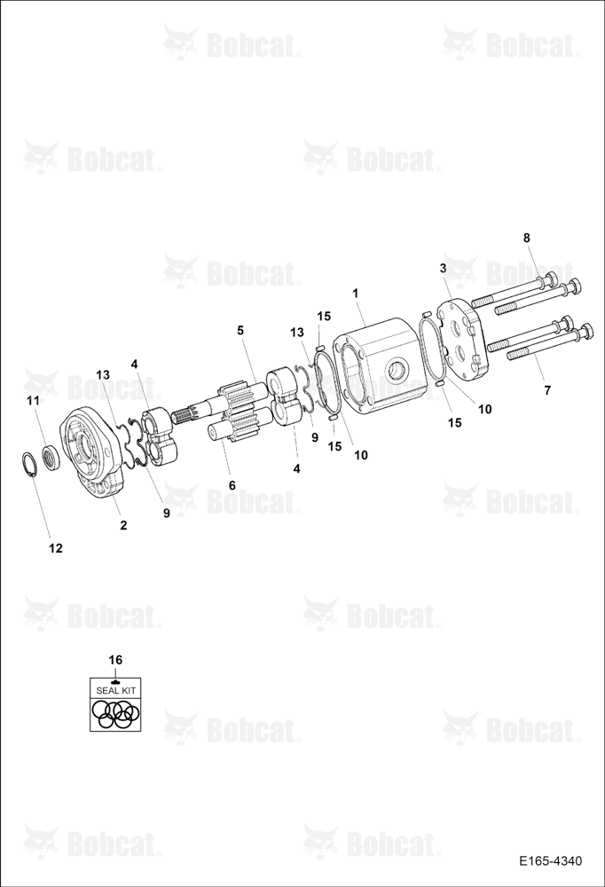 Gear Pump (Rotating)