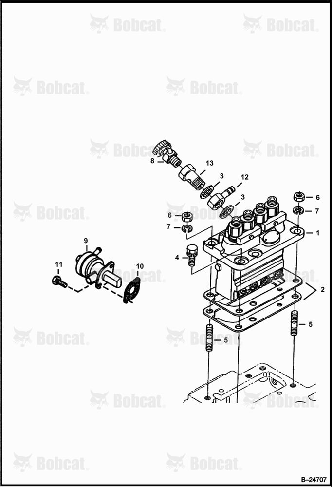 Fuel & Injection Pump (Kubota - V2203 2EB - Tier II Replacement)