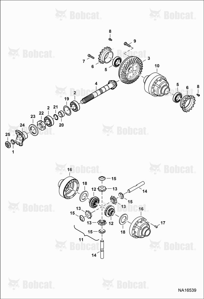 Rear Axle (Differential)