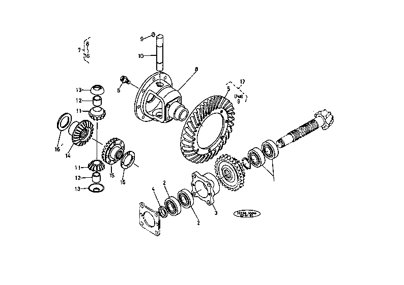 Differential System