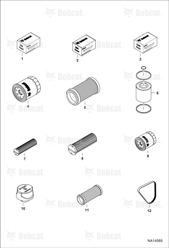 Maintenance Items (Scheduled Maintenance)