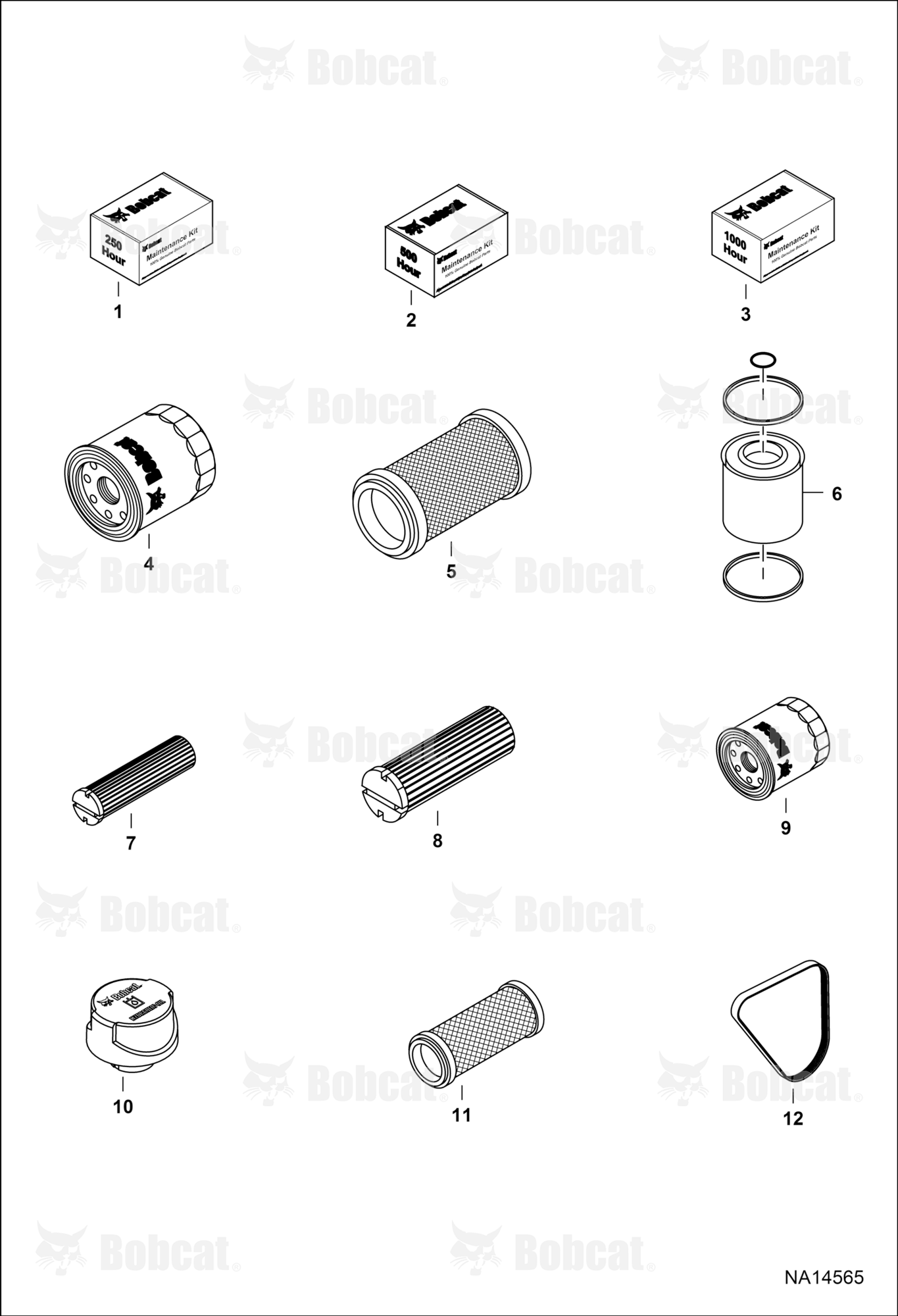 Maintenance Items (Scheduled Maintenance)