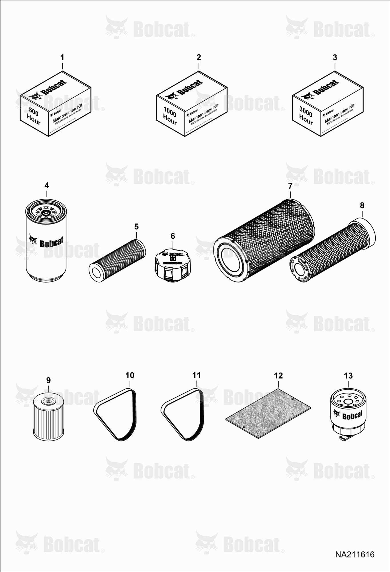 Maintenance Items (Scheduled Maintenance)