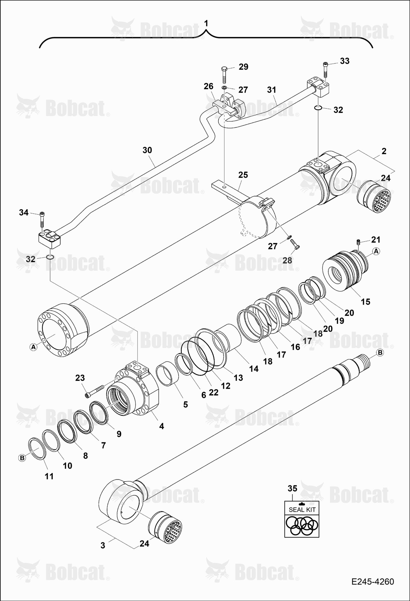 Boom Cylinder (RH)