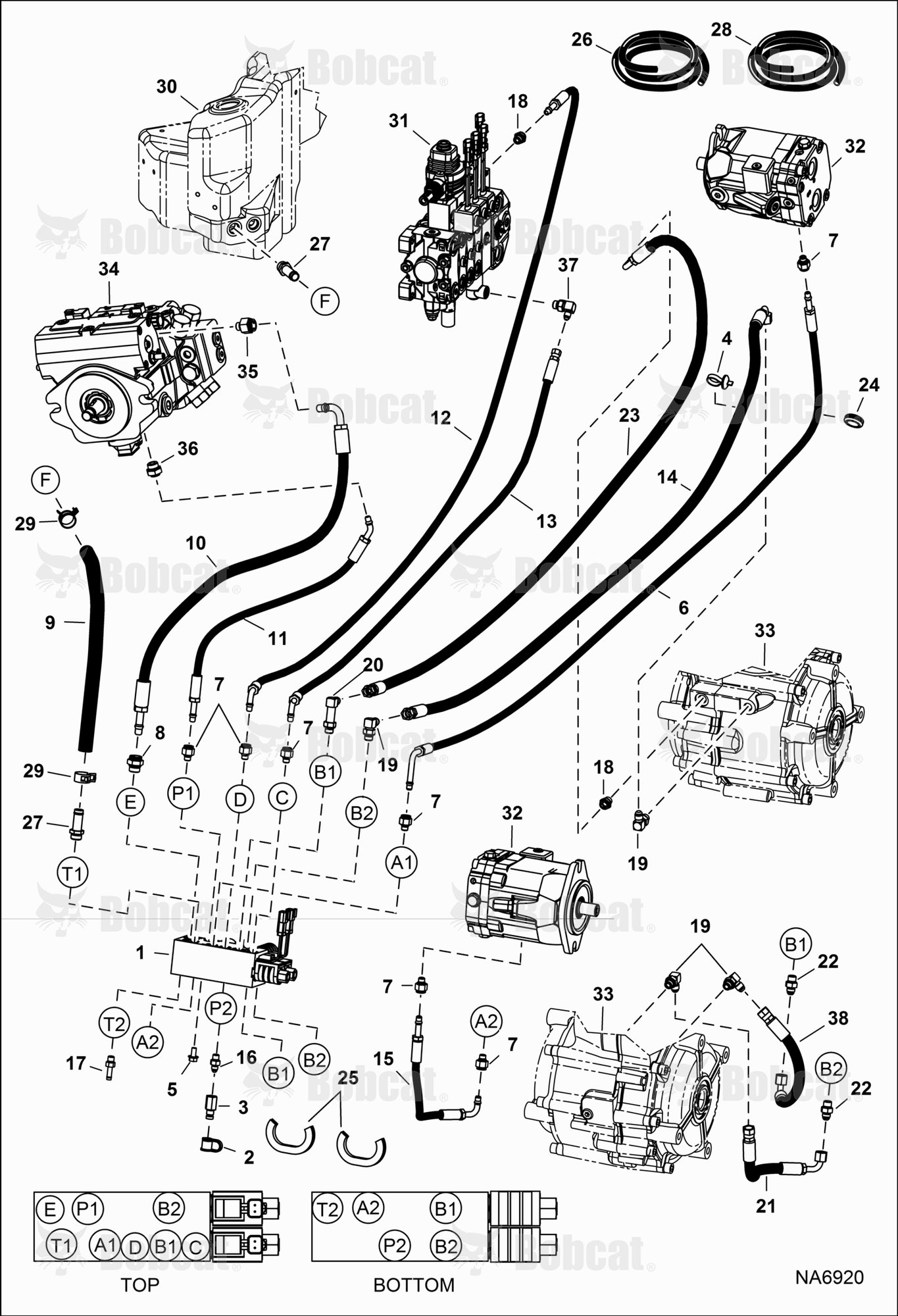 Hydraulic Circuitry (Pilot) (Dual)