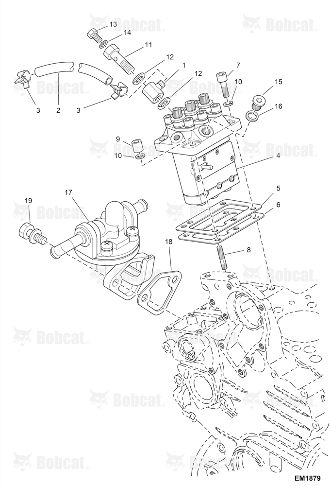 Fuel and Injection Pump
