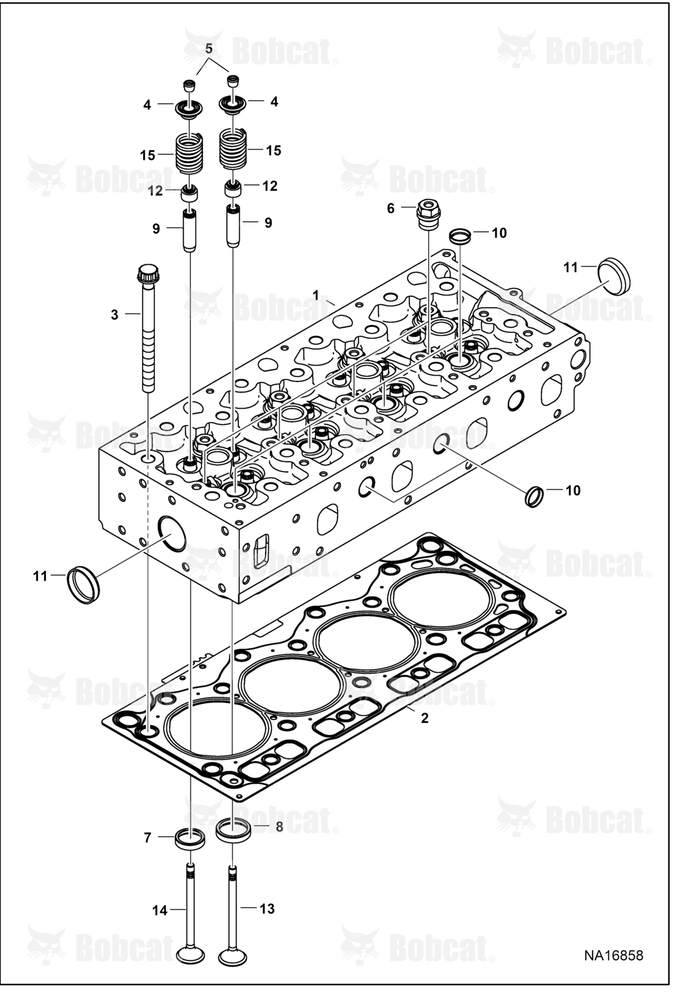 Cylinder Head & Valves