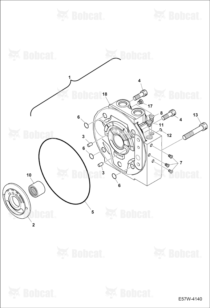 Hydrostatic Pump (Cover)
