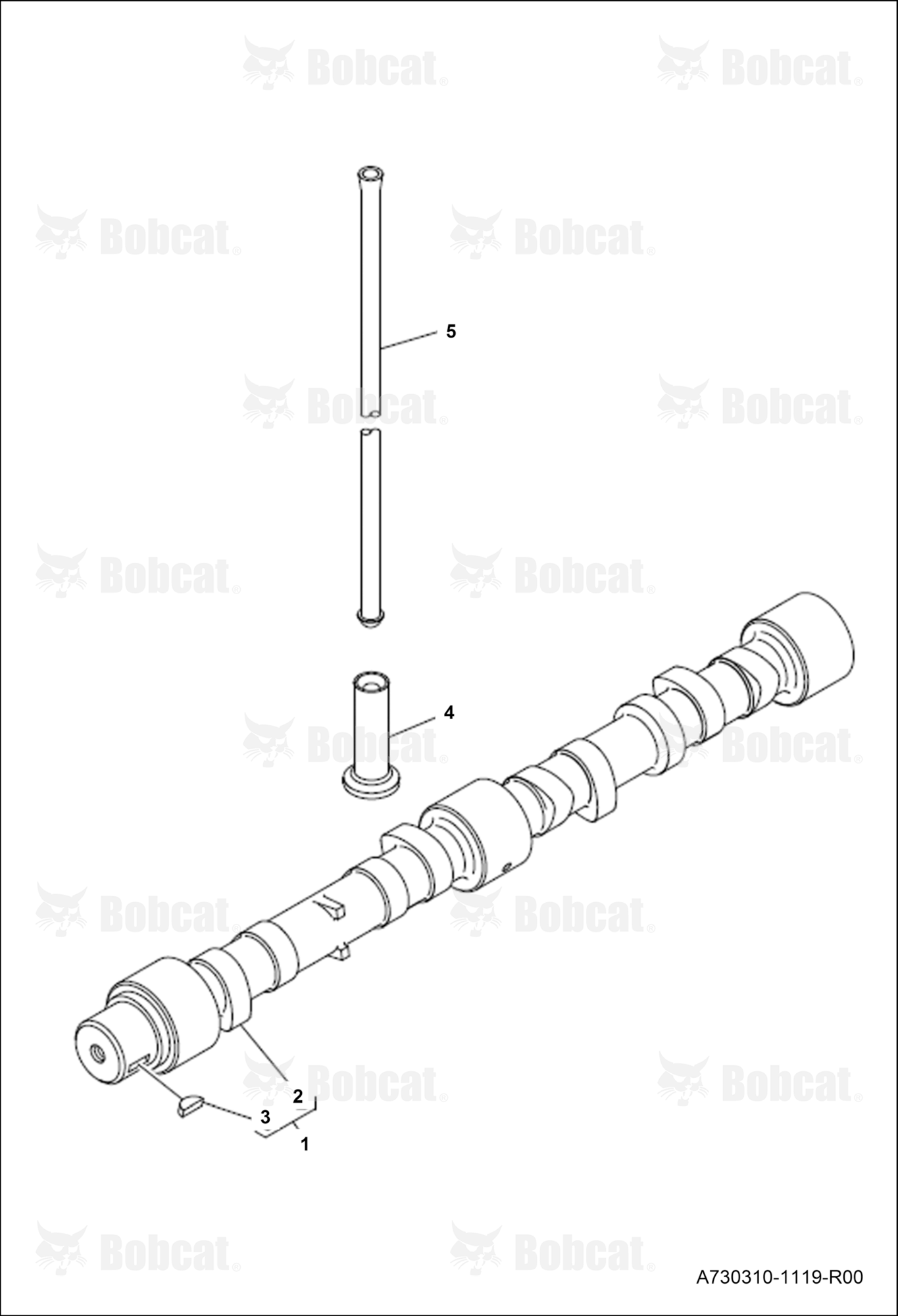 Timing Gear and Camshaft