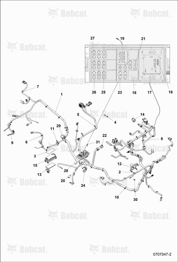 ELECTRICAL, Wire Harnesses