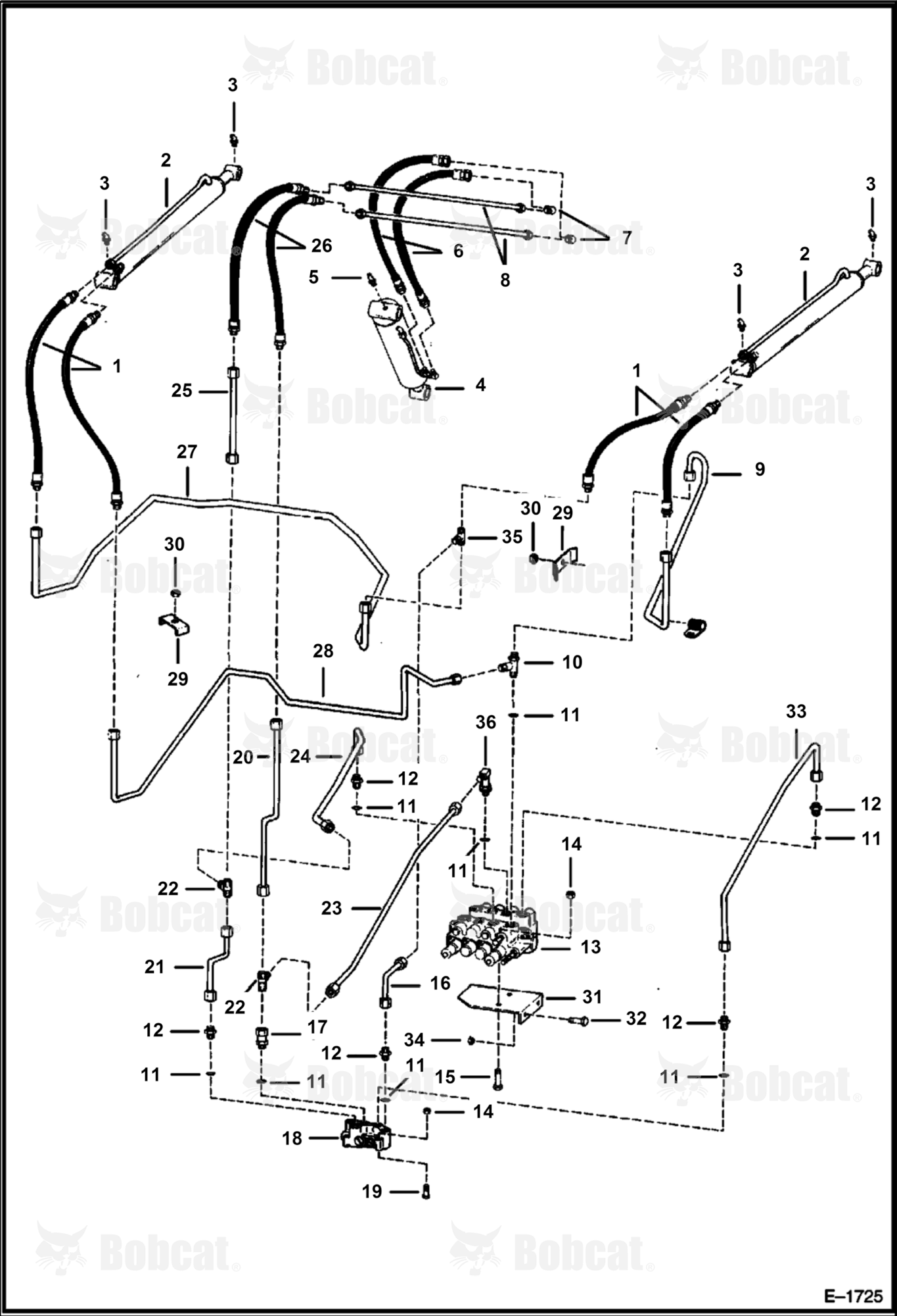 Hydraulic Circuitry  503726662 & Below