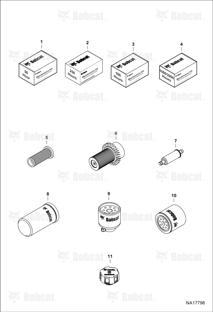 Maintenance Items (Scheduled Maintenance)