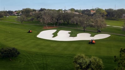 Jacobsen LF550 mower.jpg