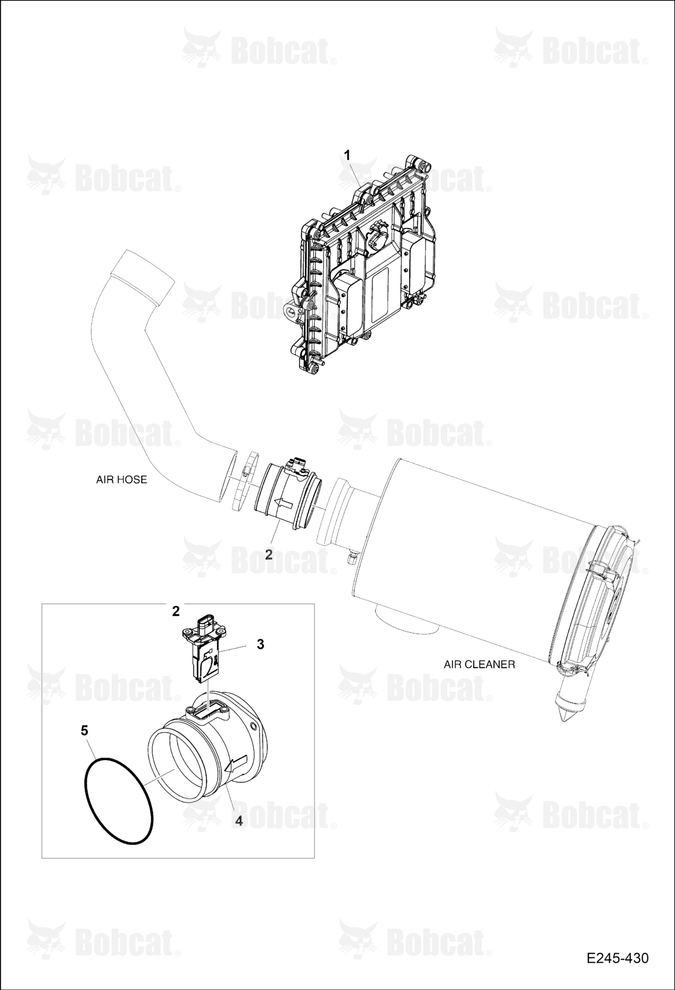 Sensor & ECU