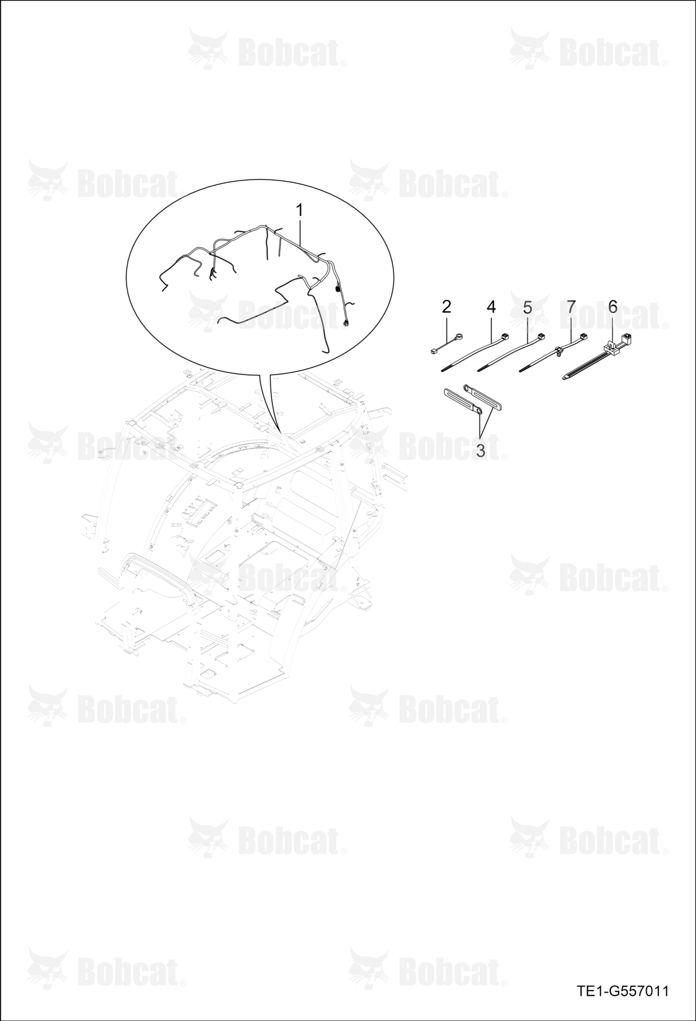 Cabin Wire Harness Group