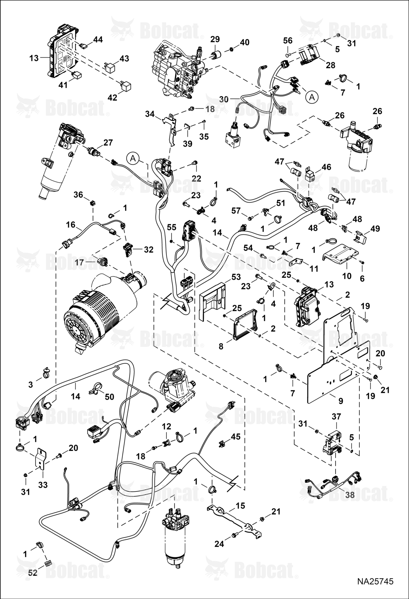 Engine Electrical Circuitry (Frame Harness, Fuse Relay, & Sensors)  B4CD21655, B4CD21719 & Above
