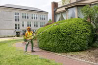 Thumbnail of STIHL HLA 86 Cordless Hedge Trimmer Action1