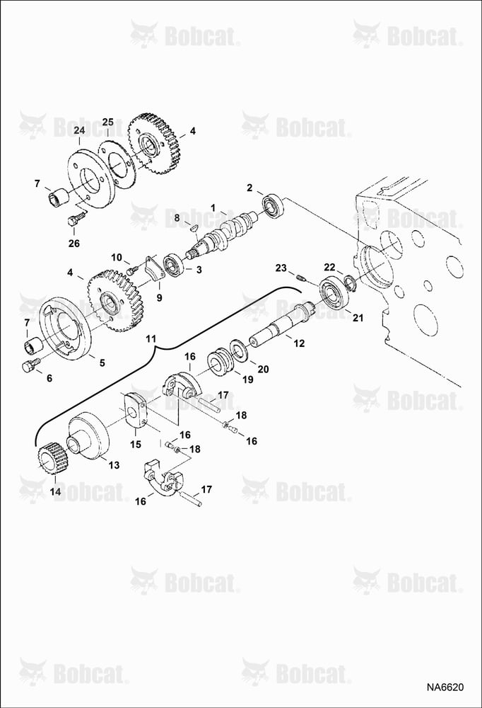 Fuel Camshaft & Governor Shaft (Kubota D1005 Tier II)  538911001 & Above, 539011001 & Above
