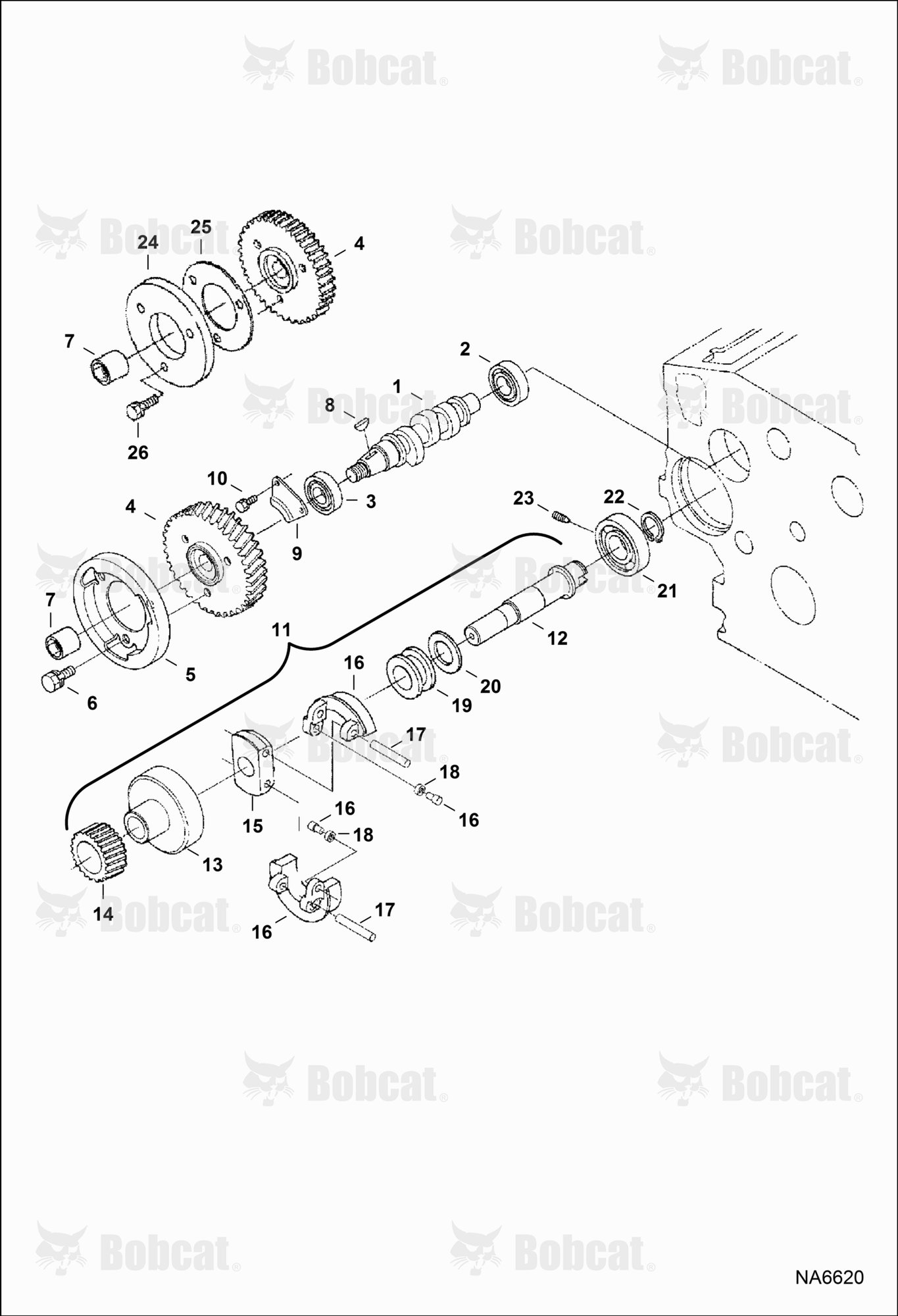 Fuel Camshaft & Governor Shaft (Kubota D1005 Tier II)  538911001 & Above, 539011001 & Above