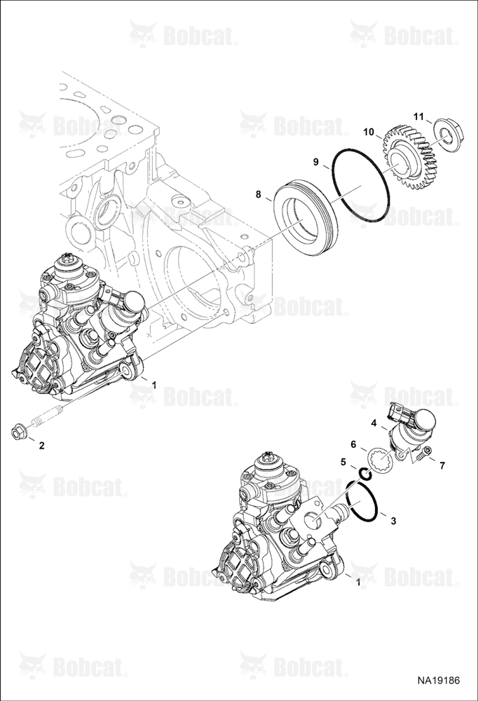 Injection Pump
