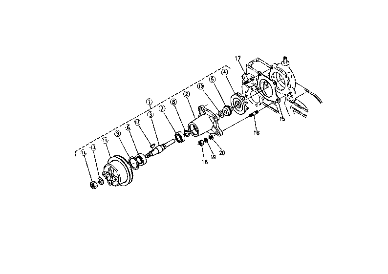 Water Pump
