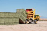 Thumbnail of New Holland S C103