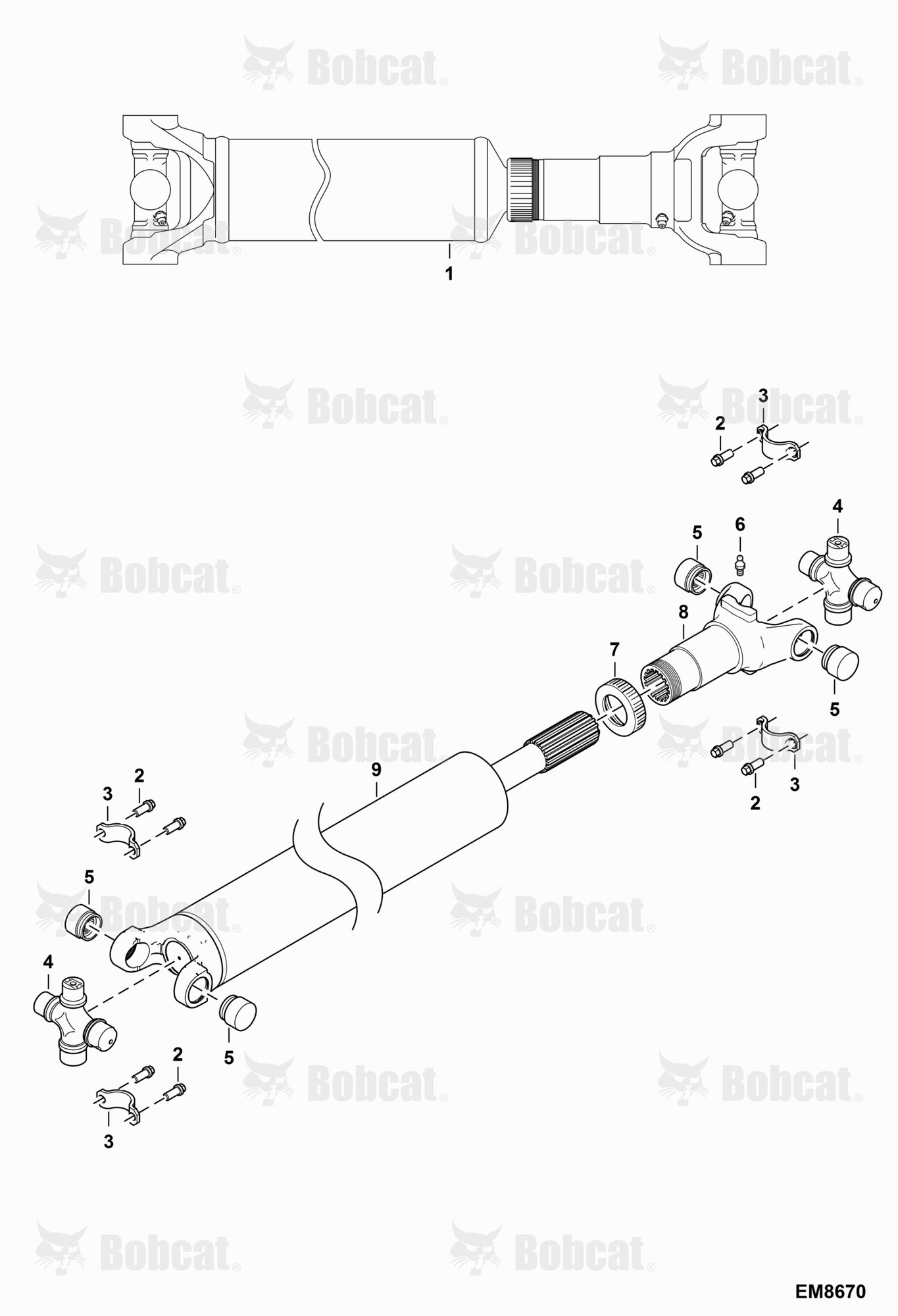 Drive Shaft