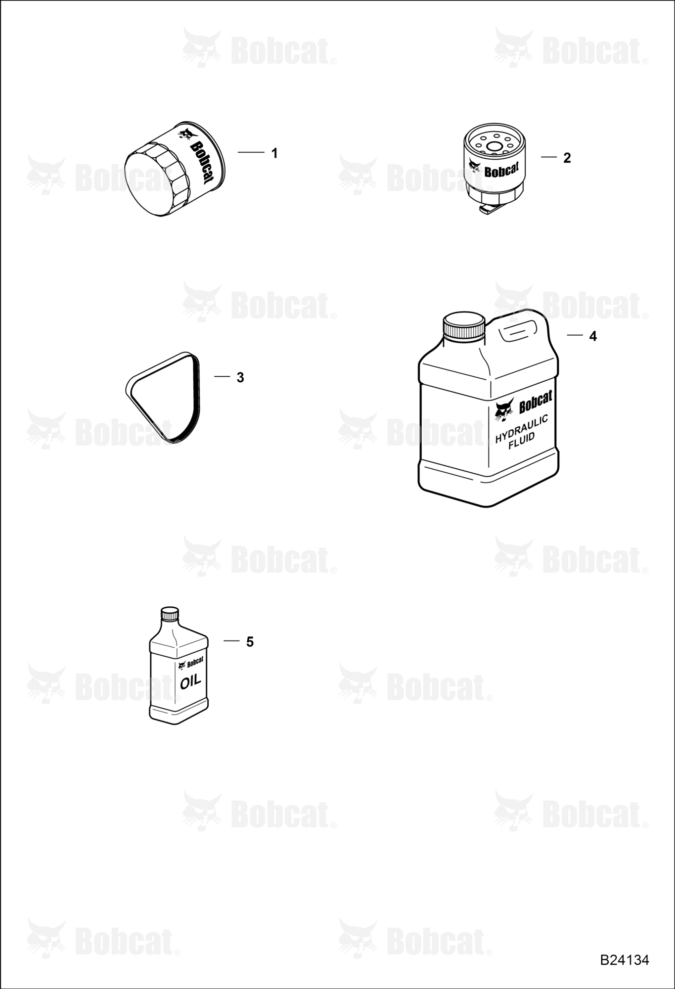 Maintenance Schedule (250 Hour)