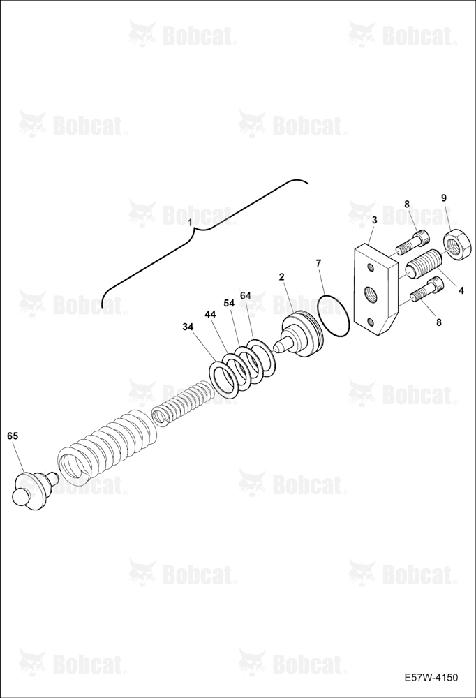 Hydrostatic Pump (Spring Assy)